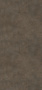 81-2.png